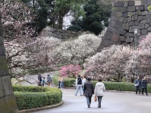 梅林坂(皇居東御苑)