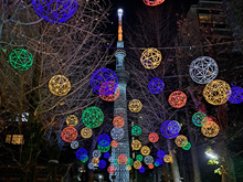 竹毬(牛嶋神社)