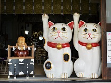 招き猫（今戸神社）