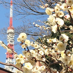 東京散歩♪