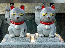招き猫（今戸神社）