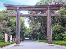 咹i_{j