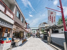 l[삲vʂ