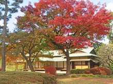zK̒gt(c䉑)