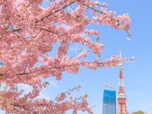 �͒Í��������^���[�i�Ō����j