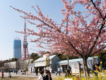 �����^���[���͒Í��i�Ō����j