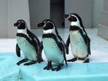 �y���M��