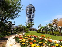 �V�[�L�����h���i�W�]����j