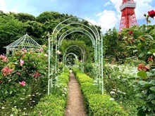 �o�����i�v�����X�Ō����j