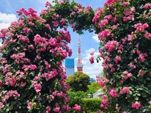 �o���������^���[�i�Ō����j