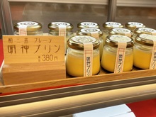 �v�����i�_�c���_�j