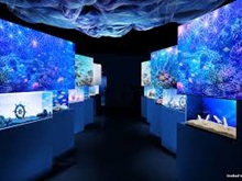 海空花火(イマーシブエリア)