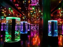 ジェリーフィッシュランブル