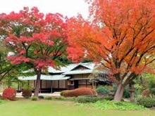 諏訪の茶屋&紅葉(皇居東御苑)